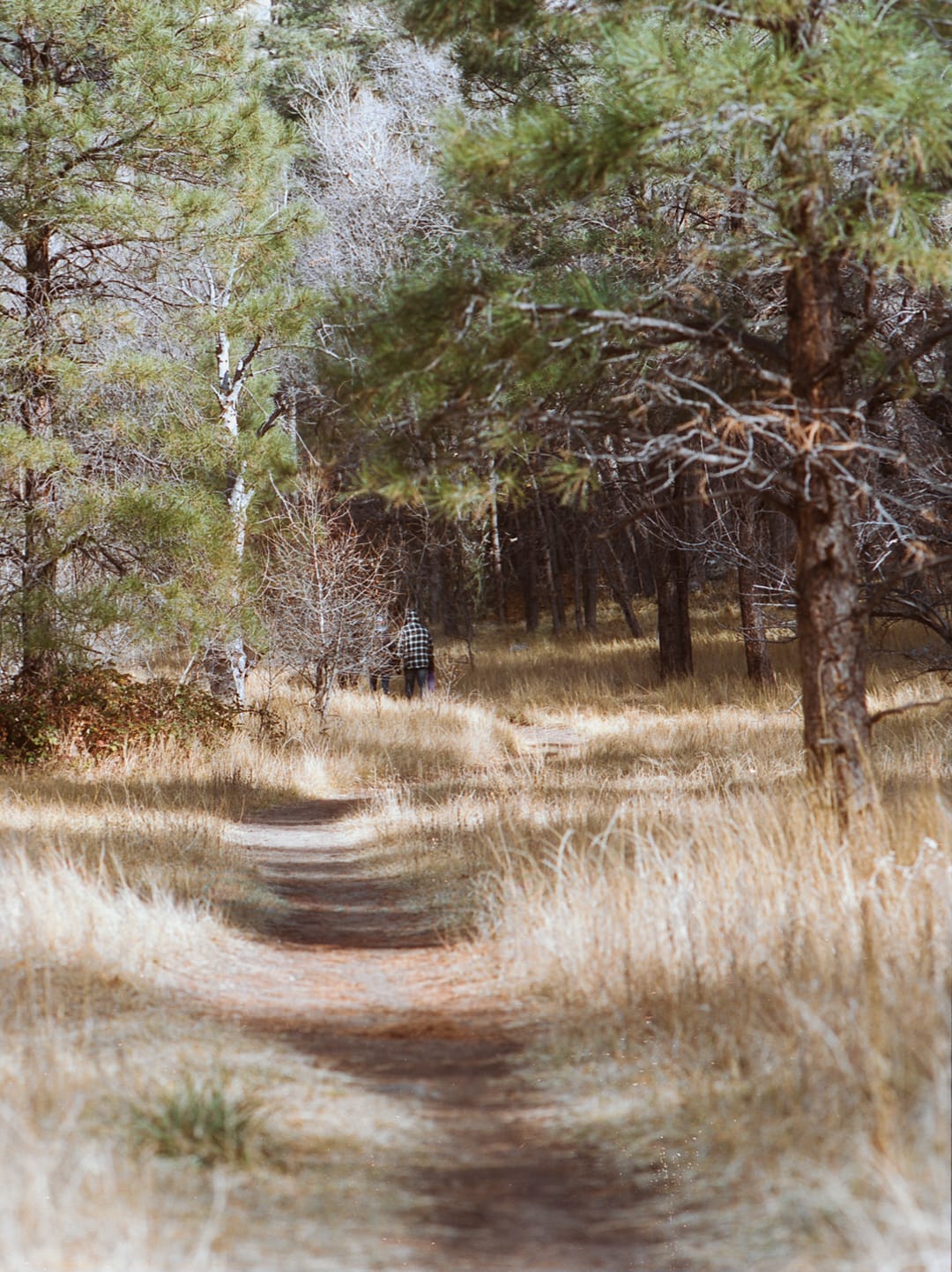 Trailhead