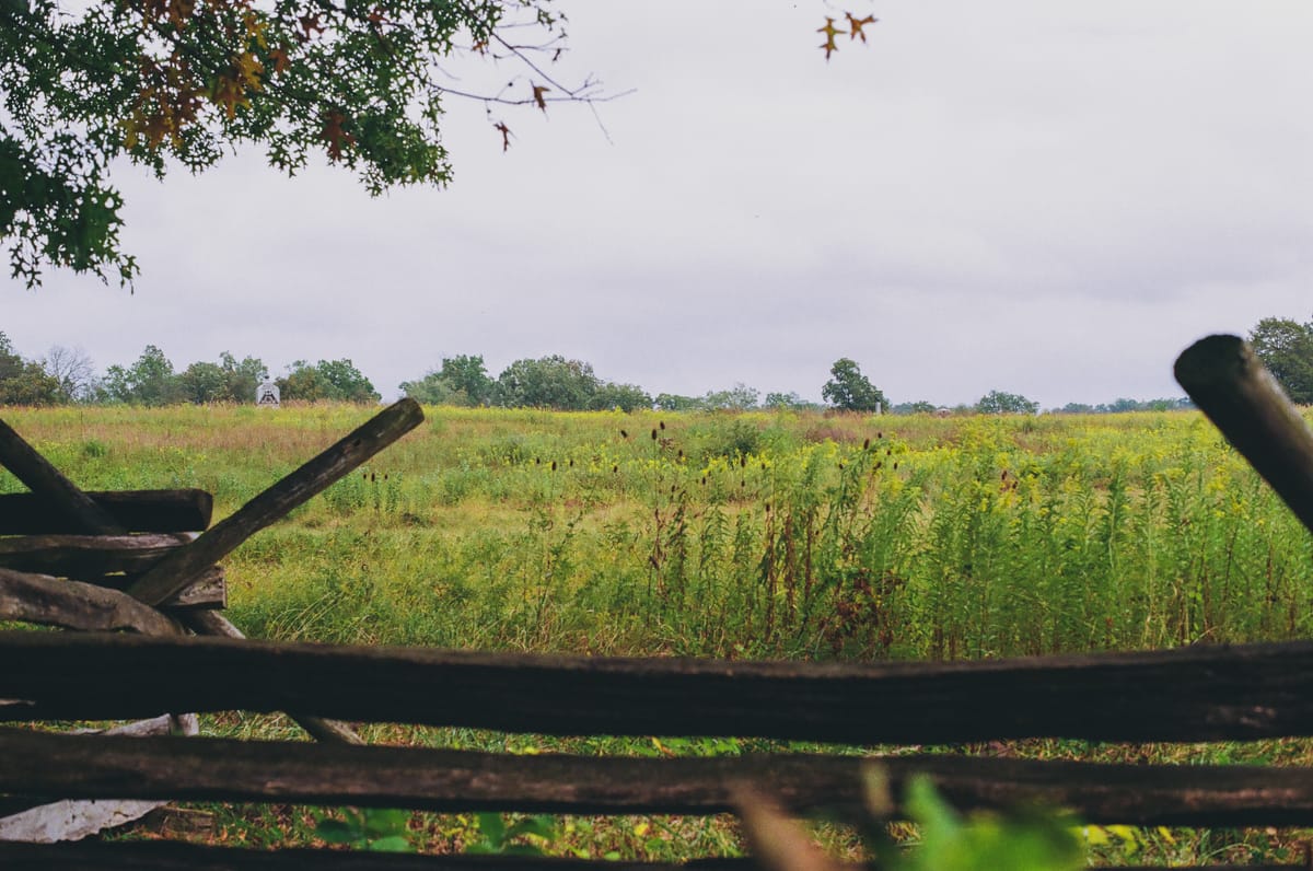 Wheat Field