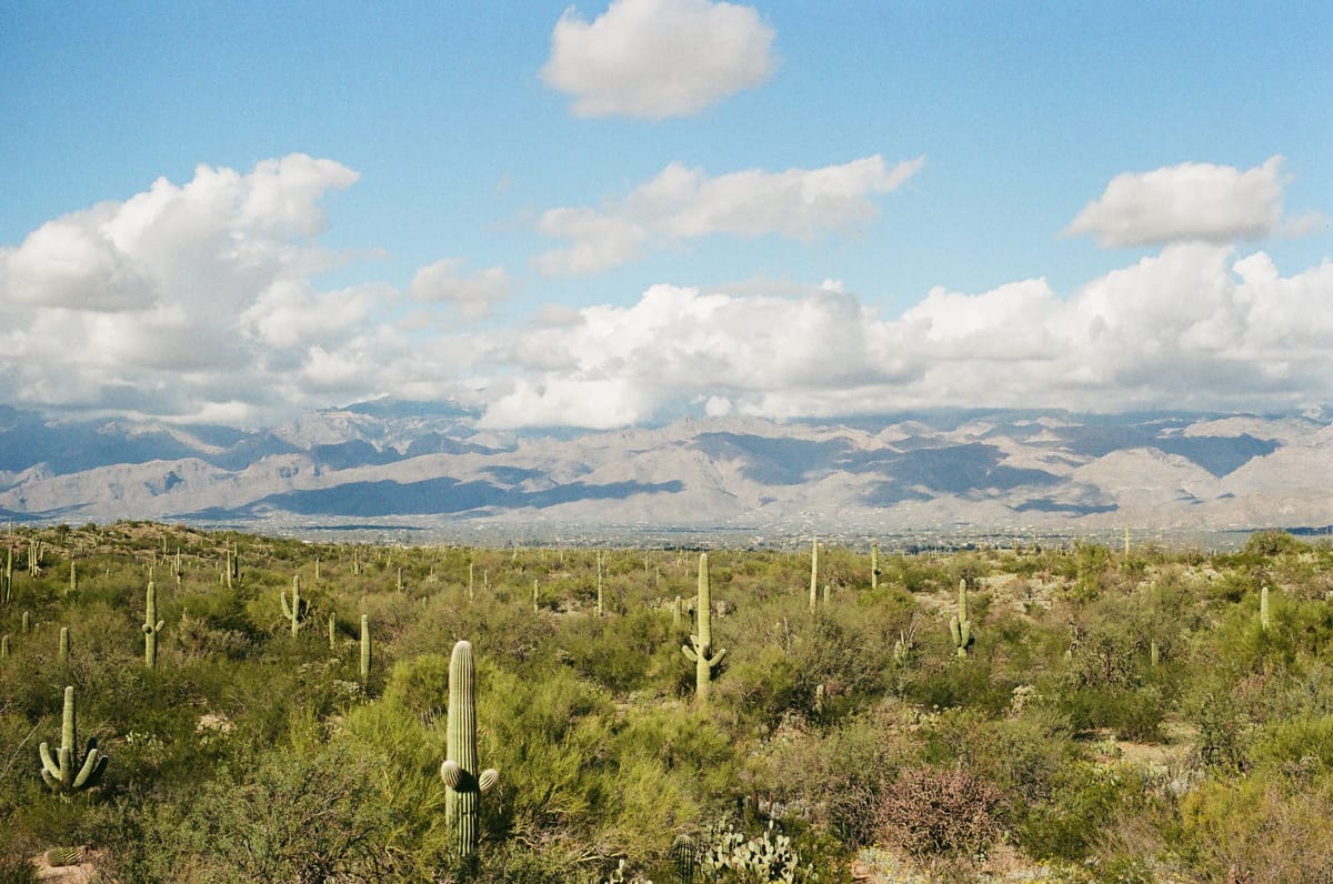 ColorPlus 200 Holds Its Own